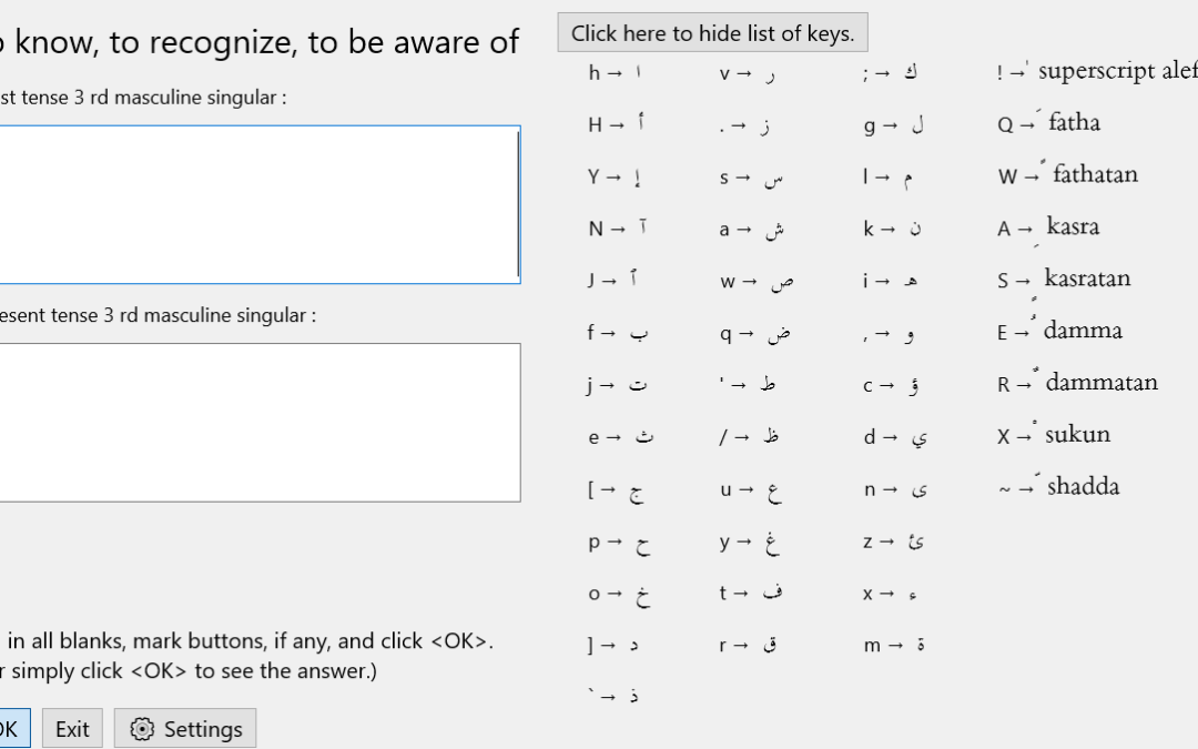 serious language student flashcards vocabulary learner